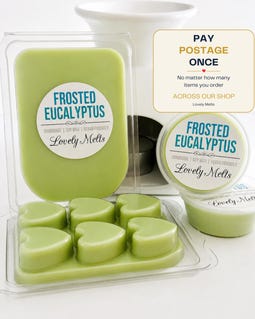 Frosted Eucalyptus Soy Wax Melts
